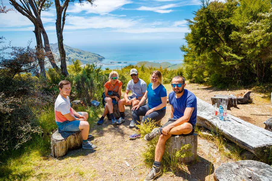Nelson: Guided Quad Biking Tour Through Forest and Farmland - Forest trails, farm tracks, and coastal views