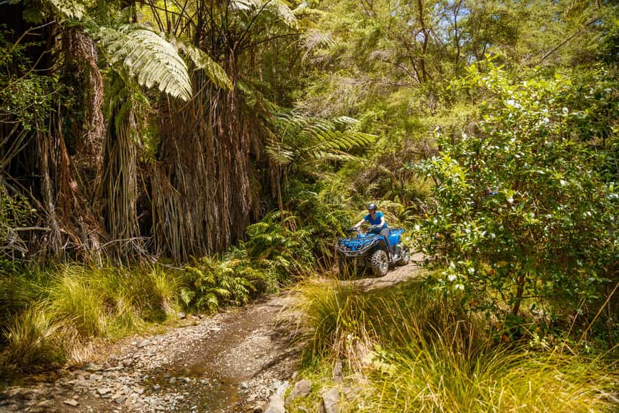 Nelson: Guided Quad Biking Tour Through Forest and Farmland - Guides and the pace of the ride