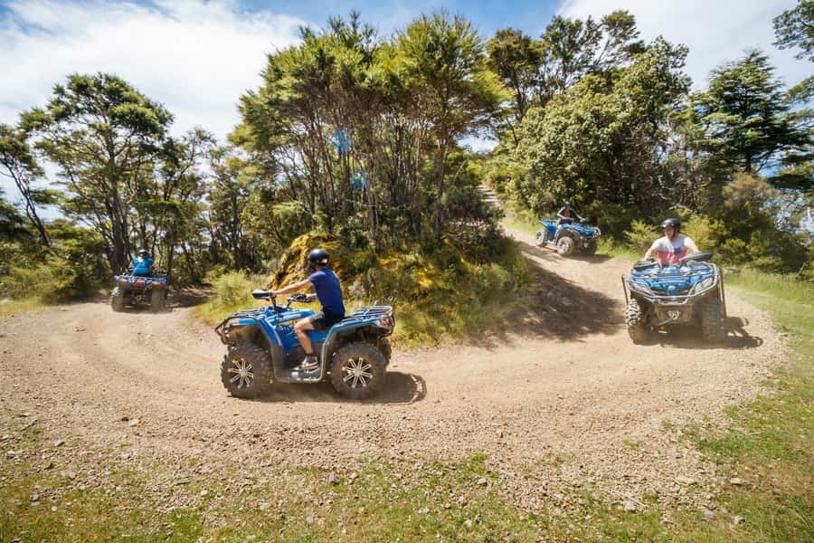 Nelson: Guided Quad Biking Tour Through Forest and Farmland - Age rules and passenger options