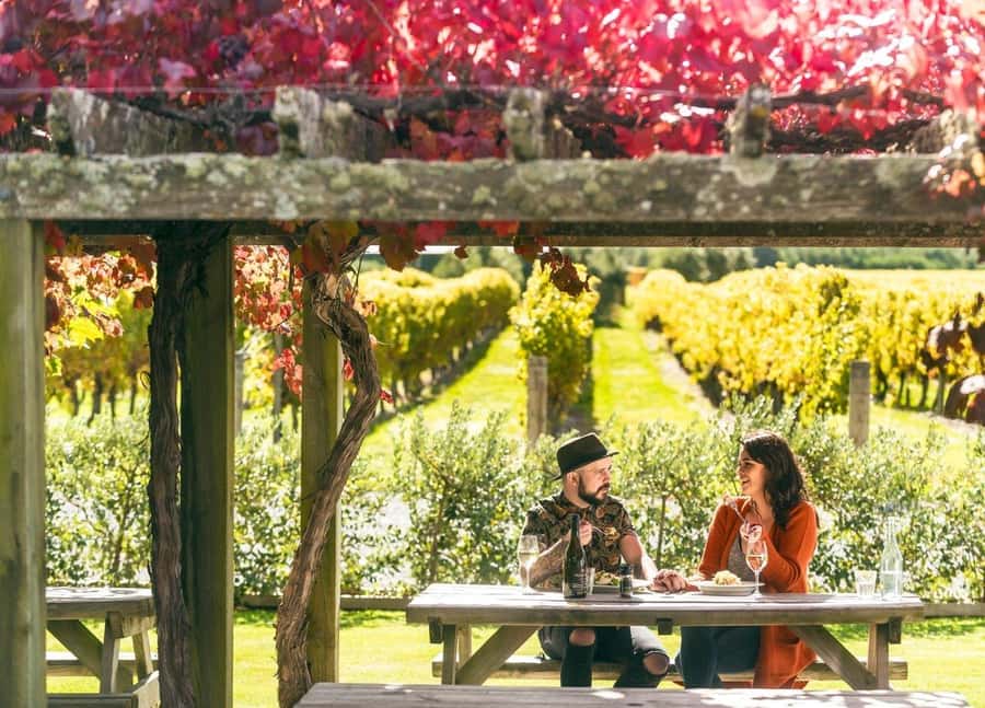Nelson: Marlborough Wine Tour with Tastings and Lunch - Key points to know before you book