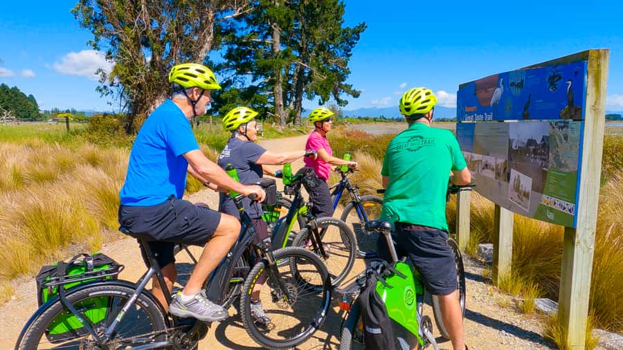 Nelson to Mapua: Full-Day Cycling Self-Guided Adventure - Key Points Before You Book