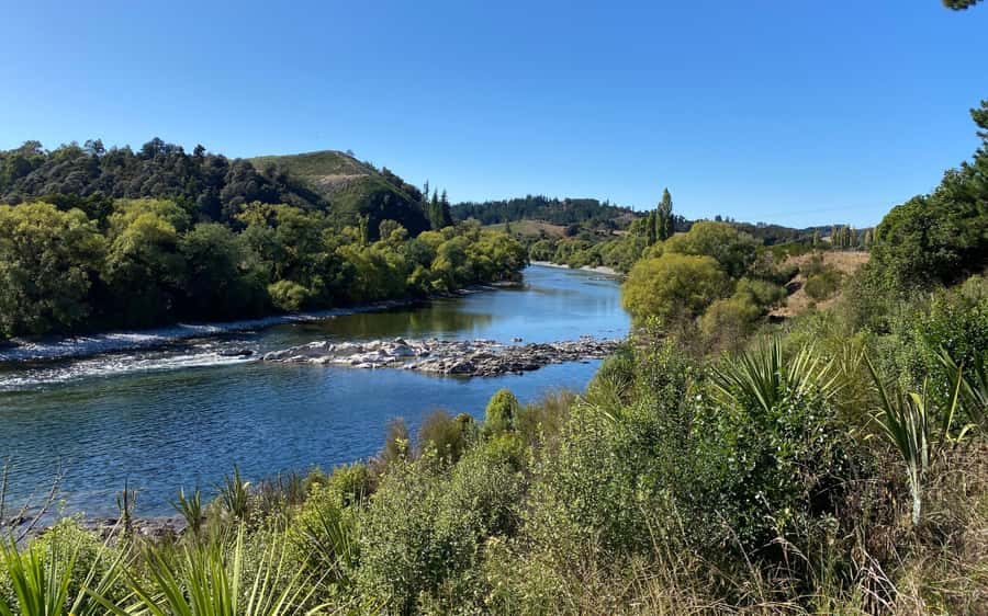 Nelson to Mapua: Full-Day Cycling Self-Guided Adventure - What the $77 Price Includes