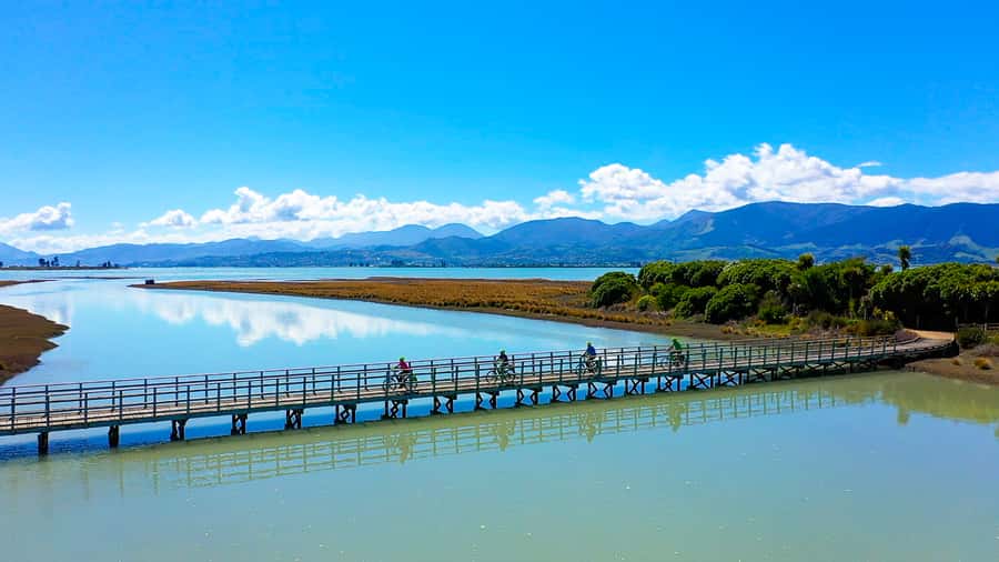 Nelson to Mapua: Full-Day Cycling Self-Guided Adventure - Starting at 16B Paru Paru Road in Nelson