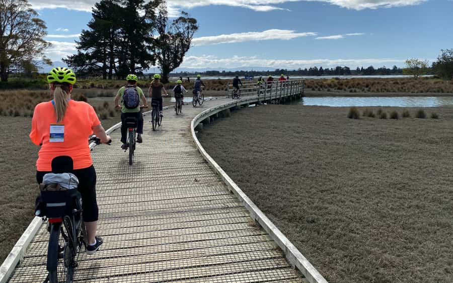 Nelson to Mapua: Full-Day Cycling Self-Guided Adventure - Crossing the Waimea Swing Bridge