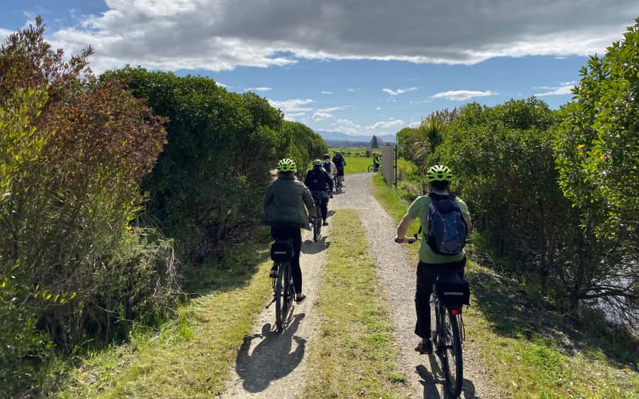 Nelson to Mapua: Full-Day Cycling Self-Guided Adventure - The Shuttle Back to Nelson