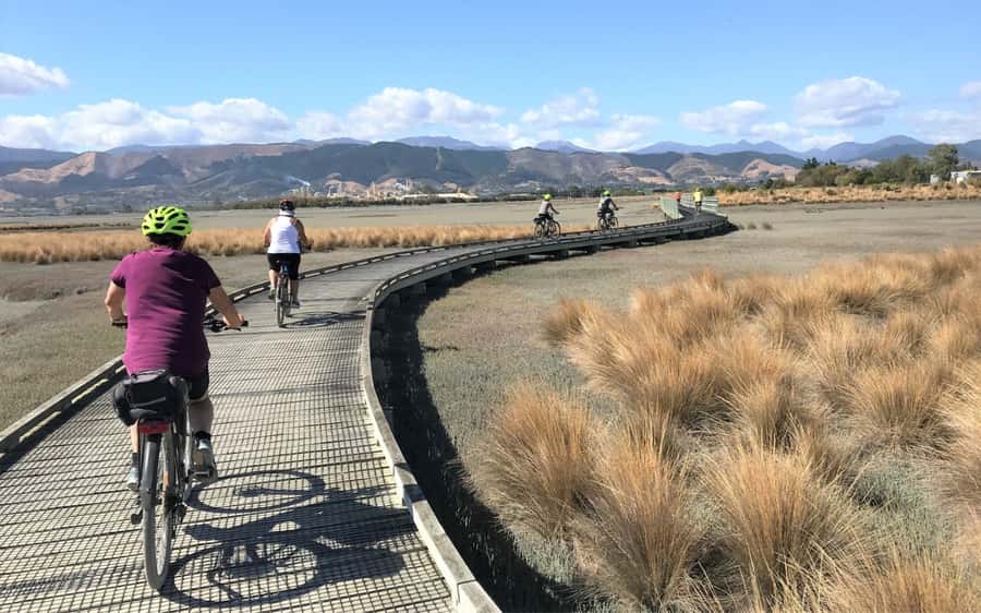 Nelson to Mapua: Full-Day Cycling Self-Guided Adventure - How Difficult Is the Ride?