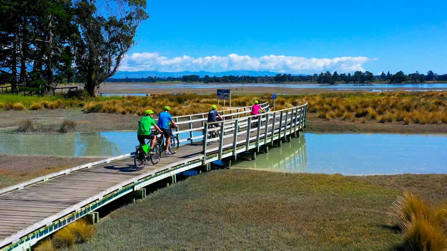 Nelson to Mapua: Full-Day Cycling Self-Guided Adventure - Leaving Nelson and Finding the Great Taste Trail