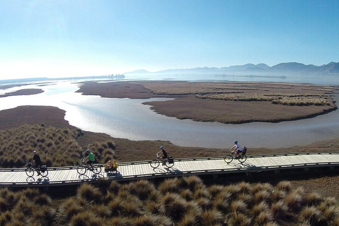 Nelson to Mapua: Full-Day Self-Guided Cycling Adventure - Key points to know before you ride