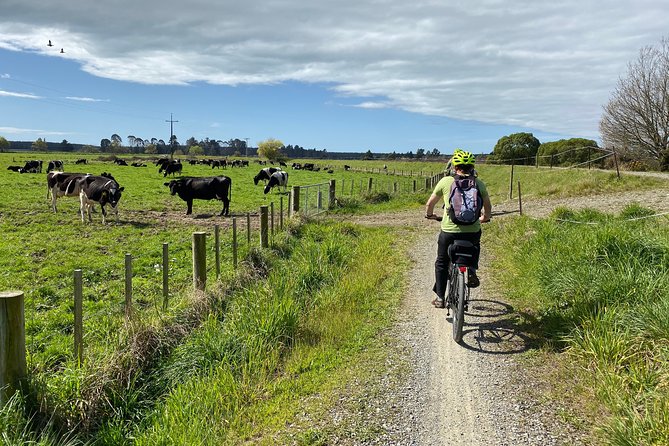 Nelson to Mapua: Full-Day Self-Guided Cycling Adventure - Pic’s Peanut Butter World adds a quirky local stop