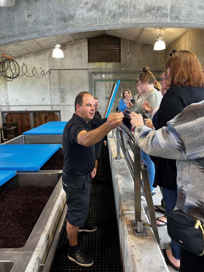 Nelson: Wine Tour with Tastings and Lunch - The fourth winery and the final tasting
