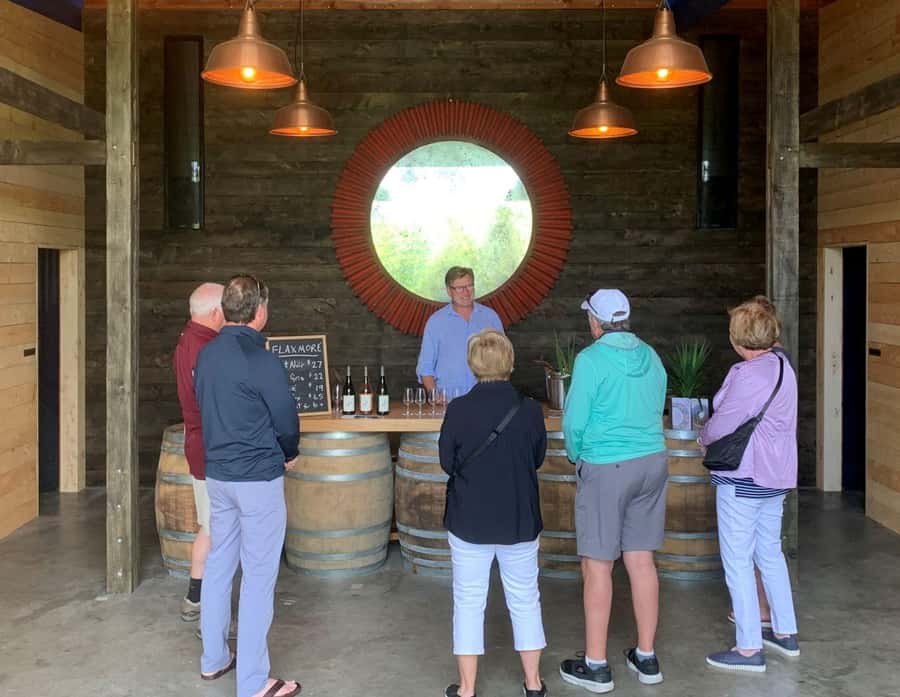 Nelson: Wine Tour with Tastings and Lunch - Who should book this Nelson wine day?