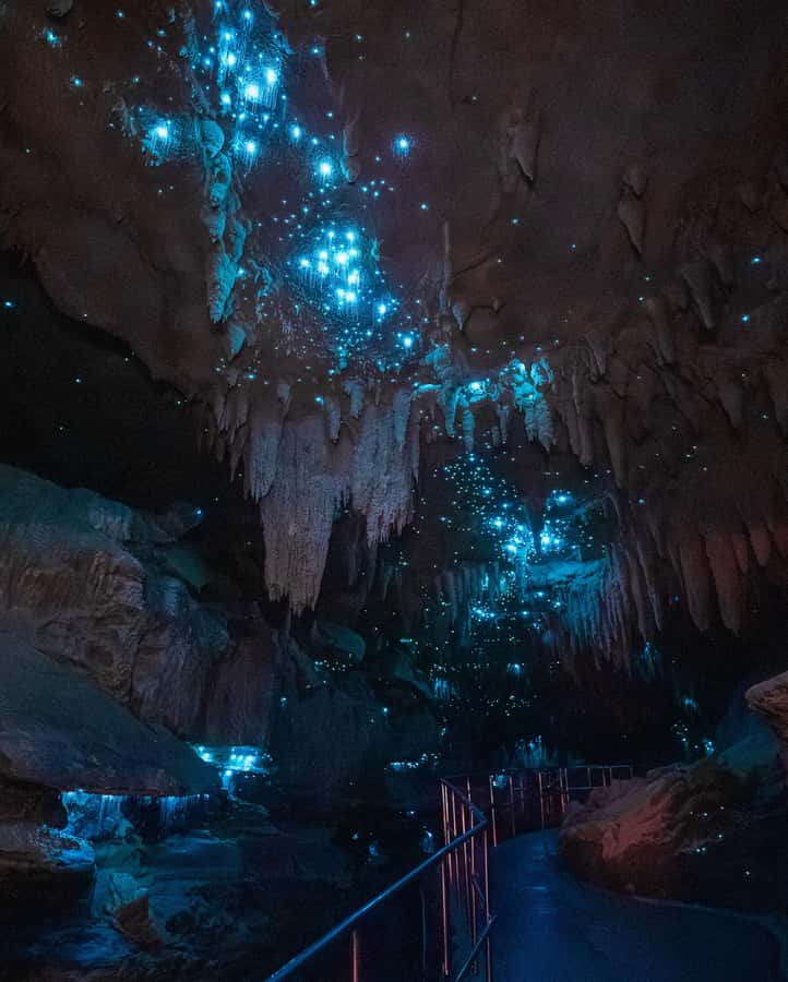 New Zealand: Milky Way Glowworm Cave Tour - Five Reasons This Cave Visit Works Well