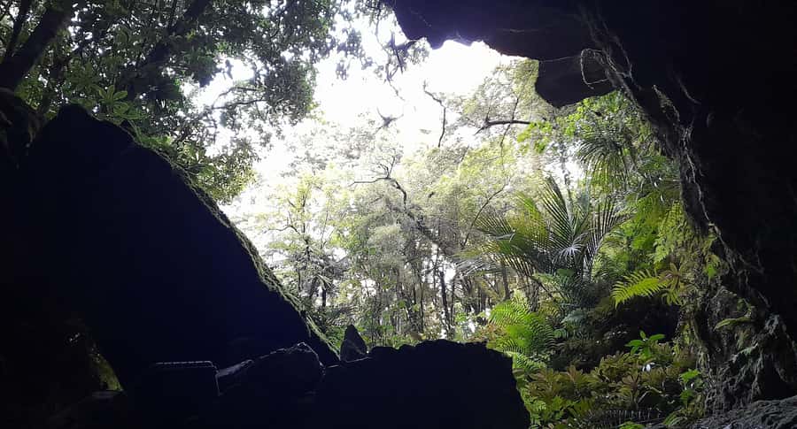 New Zealand: Milky Way Glowworm Cave Tour - Why the Guides Matter