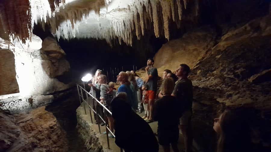New Zealand: Milky Way Glowworm Cave Tour - Thirty Steps Down Into a New Cave