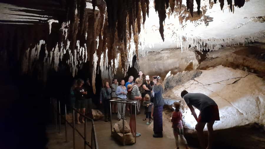 New Zealand: Milky Way Glowworm Cave Tour - Seeing Glowworms Up Close