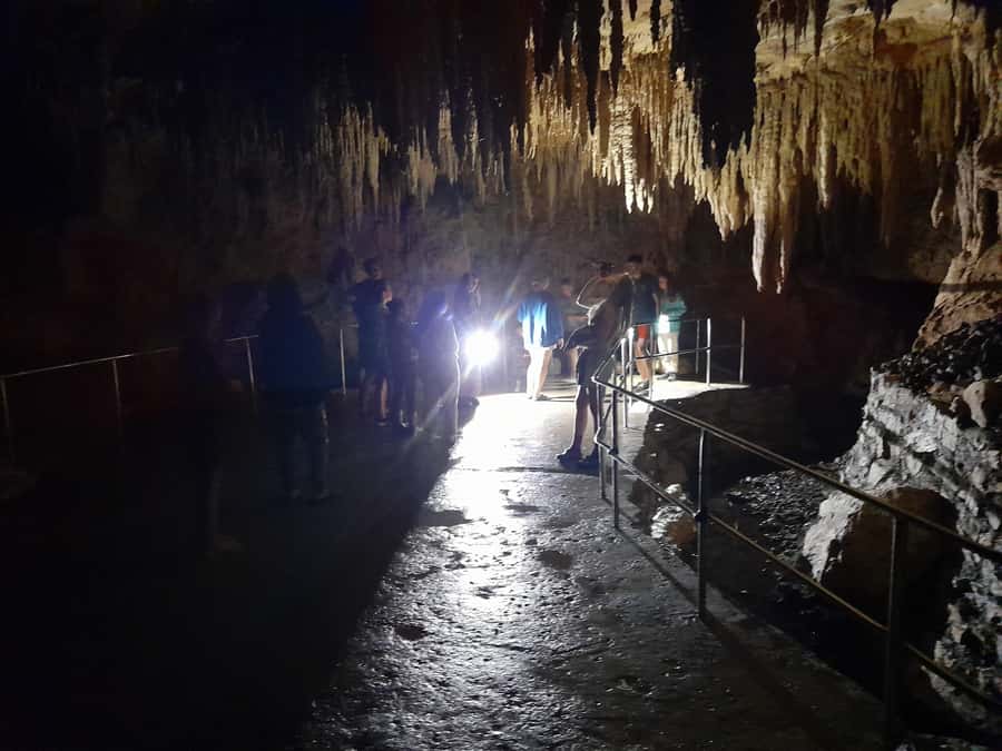 New Zealand: Milky Way Glowworm Cave Tour - What the One-Hour Schedule Feels Like