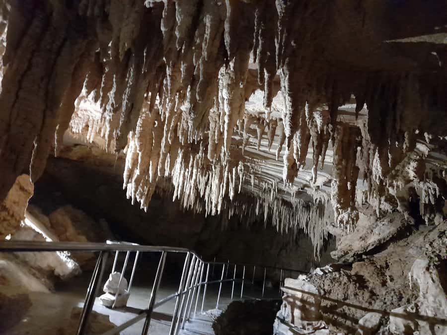 New Zealand: Milky Way Glowworm Cave Tour - Who Will Enjoy This Experience Most