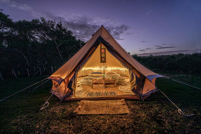 Nocturnal Wonders Tawharanui Kiwi Spotting and Stargazing Tour - The twilight kiwi search through native bush