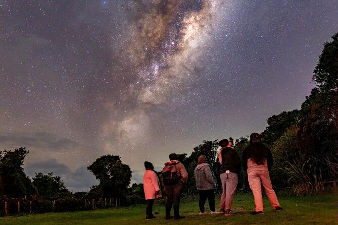 Nocturnal Wonders Tawharanui Kiwi Spotting and Stargazing Tour - Stargazing under a darker North Island sky