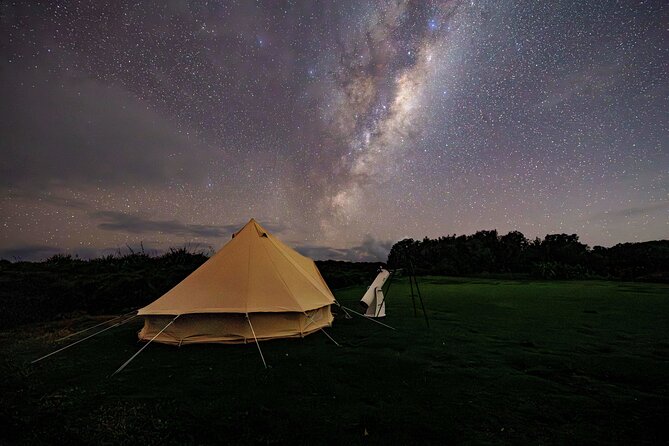 Nocturnal Wonders Tawharanui Kiwi Spotting and Stargazing Tour - What $93.09 buys you