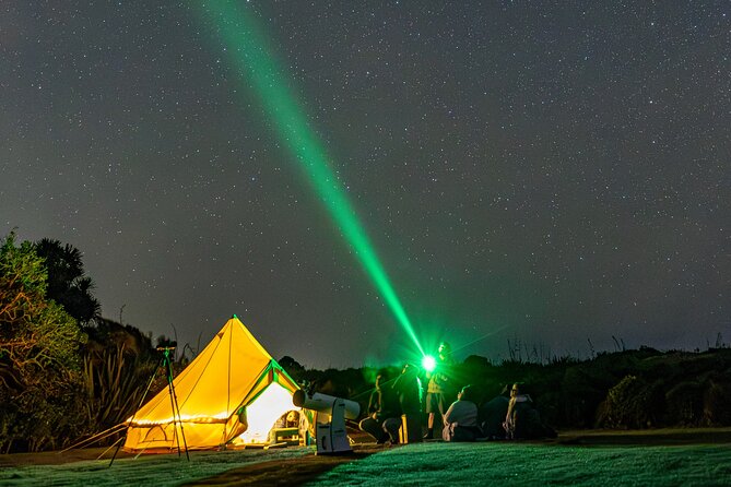 Nocturnal Wonders Tawharanui Kiwi Spotting and Stargazing Tour - The nocturnal side of Tawharanui