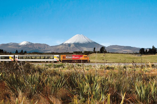 Northern Explorer Train Journey from Auckland to Wellington - Why this train journey is worth considering