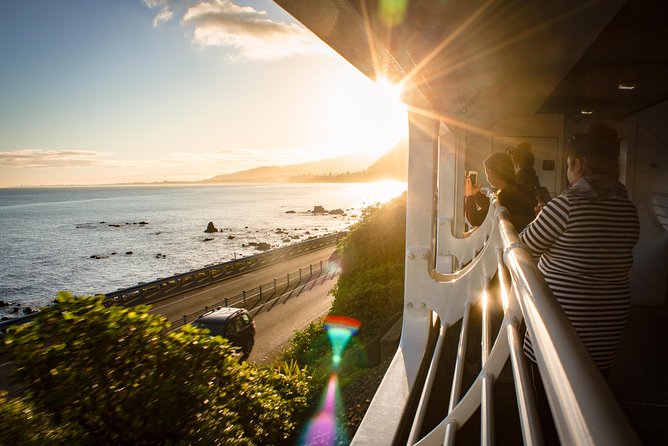 Northern Explorer Train Journey from Auckland to Wellington - Food, coffee, and what to pack