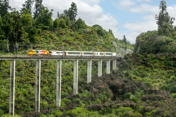 Northern Explorer Train Journey from Wellington to Auckland - Key points to know before you book