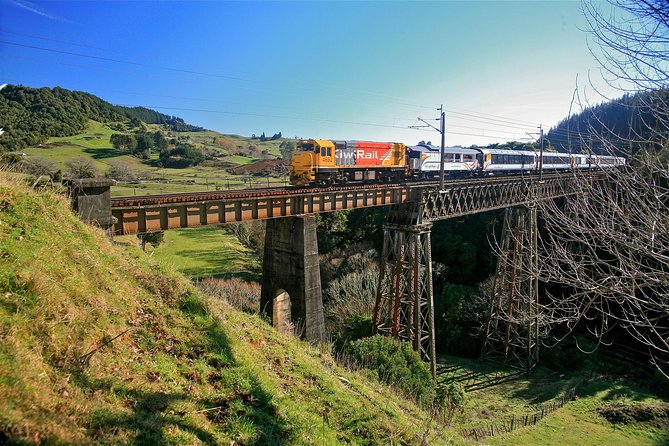 Northern Explorer Train Journey from Wellington to Auckland - Food, seating, and what to bring