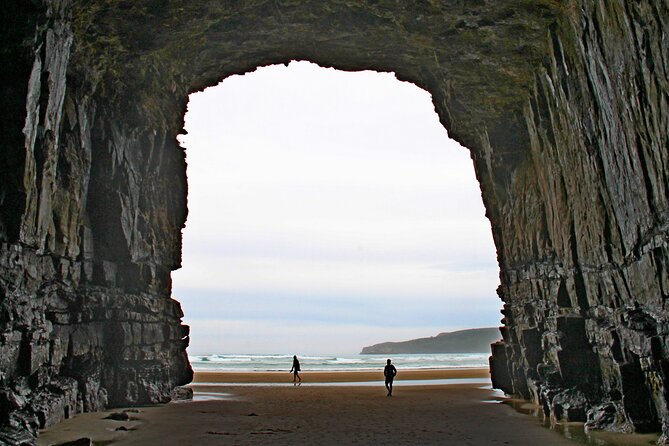Nugget Point and Cathedral Caves Private Tour from Dunedin - Key points at a glance