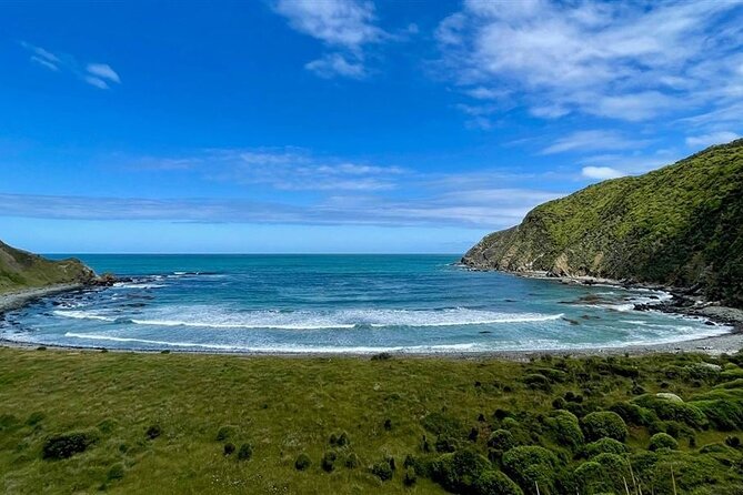 Nugget Point and Cathedral Caves Private Tour from Dunedin - Cathedral Caves at the low-tide window