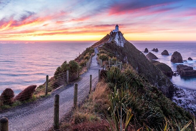 Nugget Point and Cathedral Caves Private Tour from Dunedin - Is $403.37 per person fair?