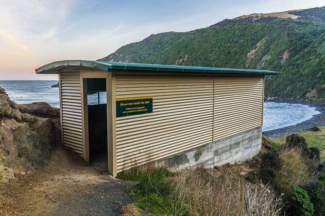 Nugget Point and Cathedral Caves Private Tour from Dunedin - Practical details before you reserve