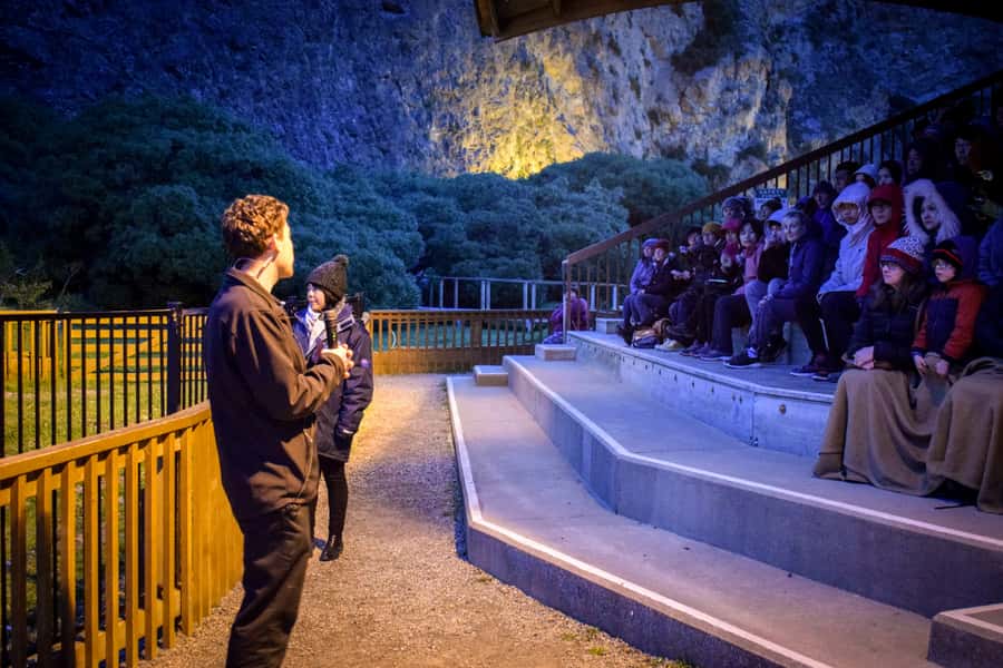 Oamaru: Penguins Evening Viewing Ticket - General seating versus premium viewing