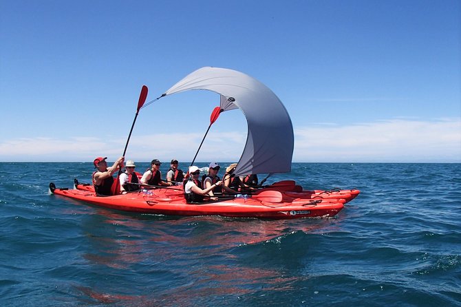 Oarsome Marine Reserve Kayak Tour - Starting in Marahau at 8:30 am