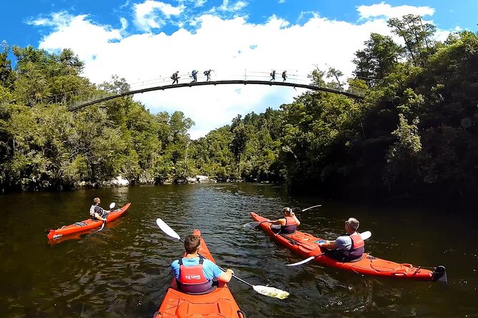 Oarsome Marine Reserve Kayak Tour - What the $198.58 price includes
