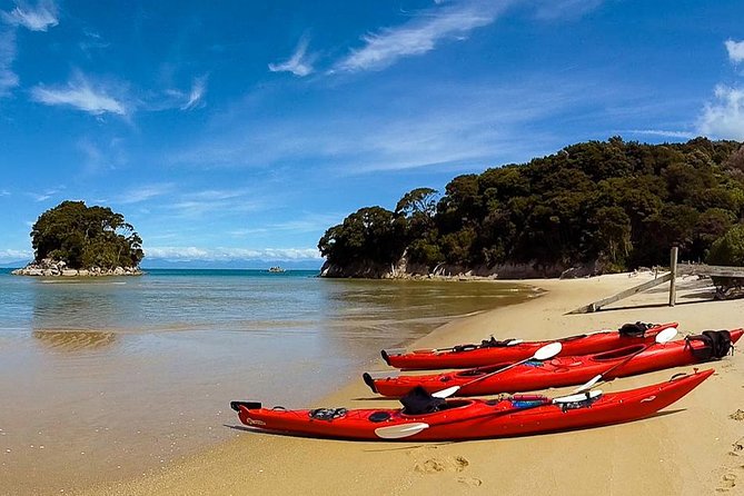 Oarsome Marine Reserve Kayak Tour - Who will get the most from this tour