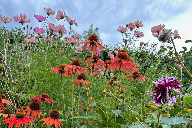 Oasis Cottage Gardens and Floristry Studio in Oxford, NZ - A vegetable allée, orchard, and arboretum