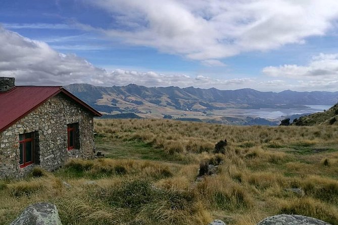 Off The Beaten Track- Packhorse Hut Guided Walk(Small Group Tour) - Key points at a glance