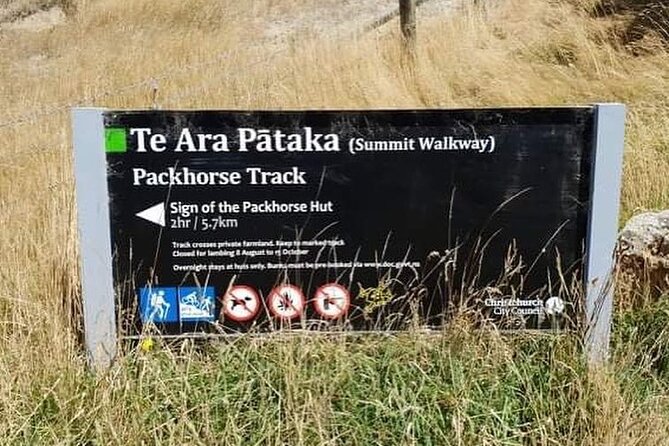 Off The Beaten Track- Packhorse Hut Guided Walk(Small Group Tour) - Reaching Packhorse Hut above Lyttelton Harbour