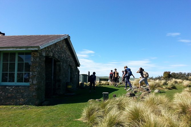 Off The Beaten Track- Packhorse Hut Guided Walk(Small Group Tour) - The return walk and coastal road home