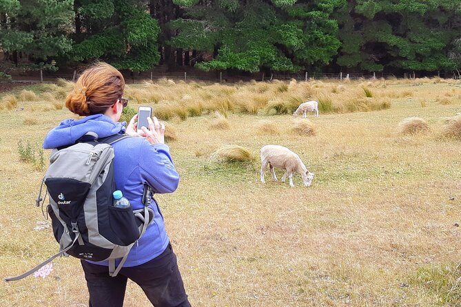 Off The Beaten Track- Packhorse Hut Guided Walk(Small Group Tour) - What the small group adds