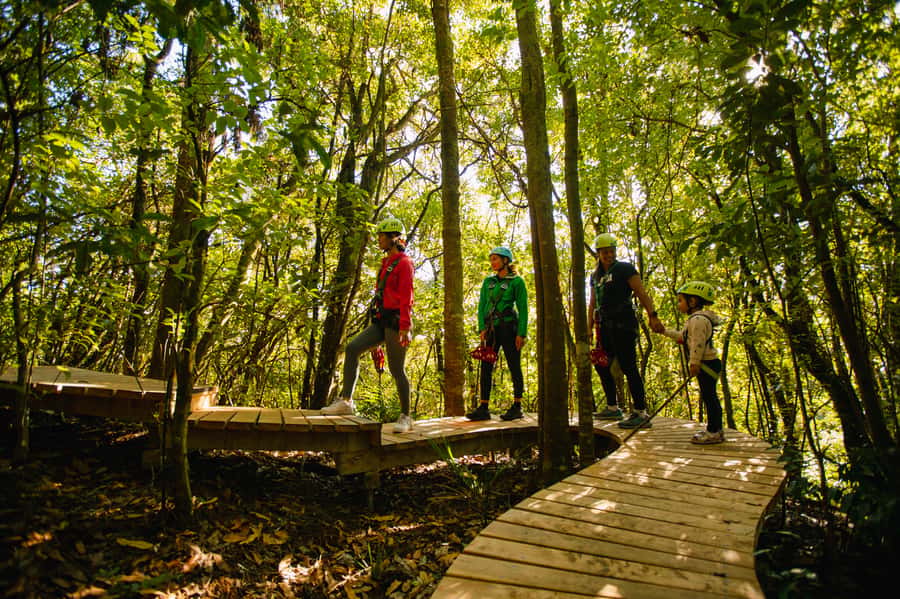 Okere Falls: Zipline over Waterfalls Experience - Planting a tree in your name
