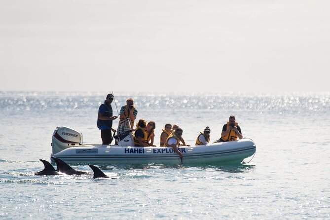 One Hour Cathedral Cove Boat Tour in Hahei - Key things to know before you go