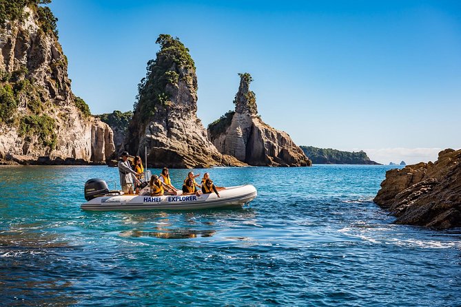 One Hour Cathedral Cove Boat Tour in Hahei - Te Whanganui-A-Hei Marine Reserve from a small boat