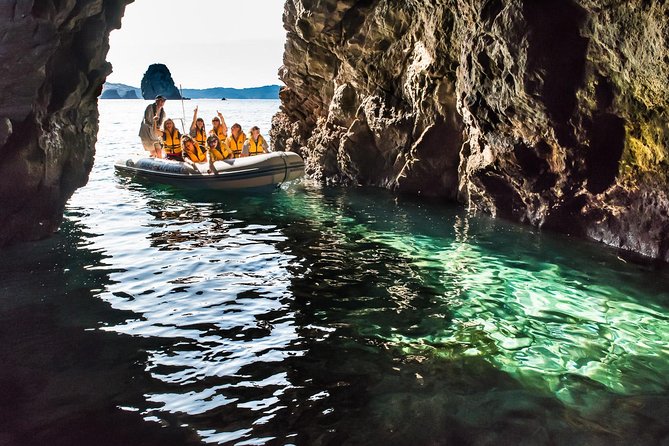 One Hour Cathedral Cove Boat Tour in Hahei - What the boat ride feels like in real conditions