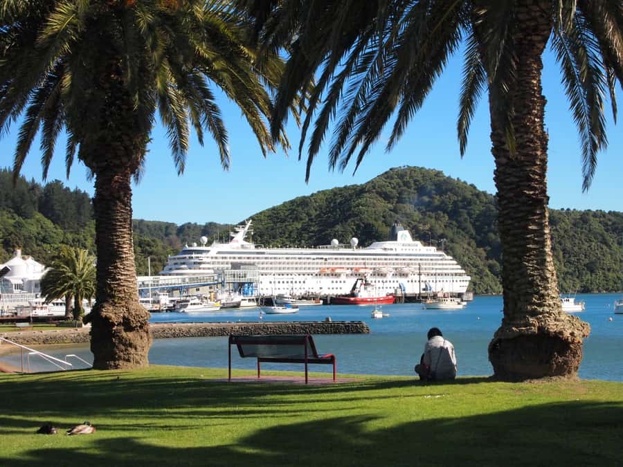Onshore Highlights of Marlborough's Wine Region from Picton - Timing, comfort, and cruise-day planning