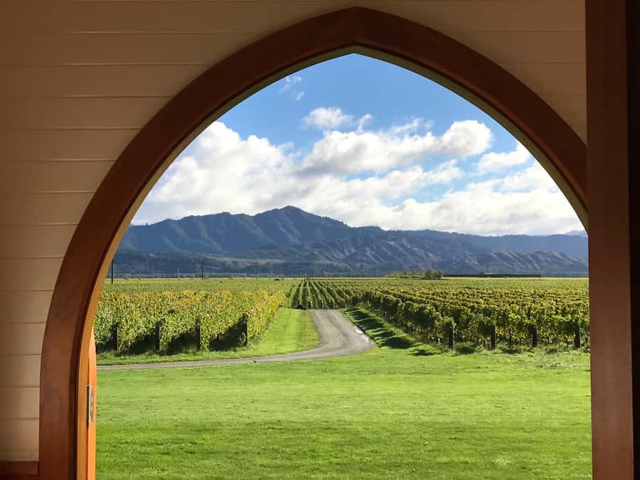 Onshore Highlights of Marlborough's Wine Region from Picton - Scenic viewpoints from vineyards to Victoria Domain