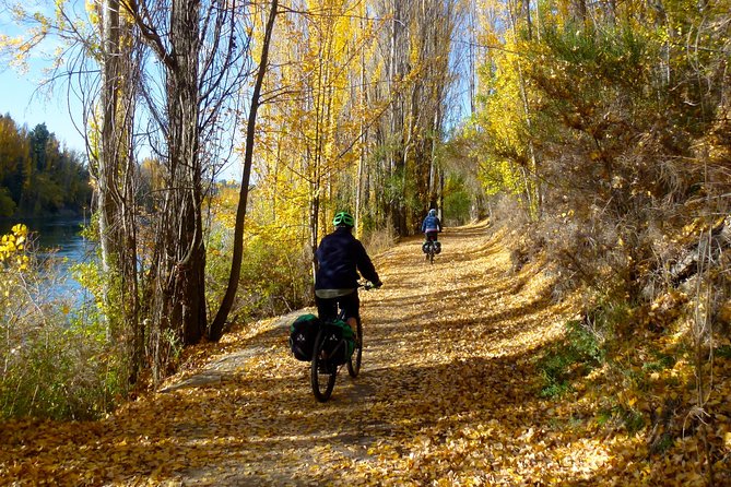 Otago Central Rail Trail One Day Wonder Cycle tour - Omakau at 17 kilometres: coffee and a sweet reward