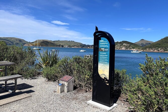 Otago Harbour by Bike: A Self Guided Tour - Starting Out From Dunedin